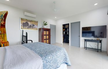 LUXURY HOME AND GUEST HOUSE WITH GYM – 1.24 ACRES