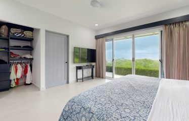 LUXURY HOME AND GUEST HOUSE WITH GYM – 1.24 ACRES