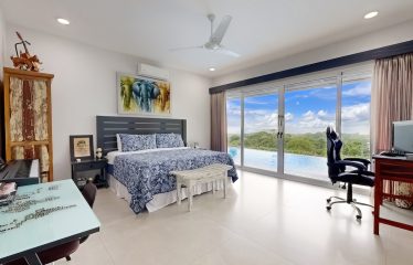 LUXURY HOME AND GUEST HOUSE WITH GYM – 1.24 ACRES