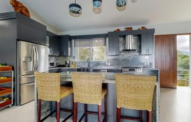 LUXURY HOME AND GUEST HOUSE WITH GYM – 1.24 ACRES