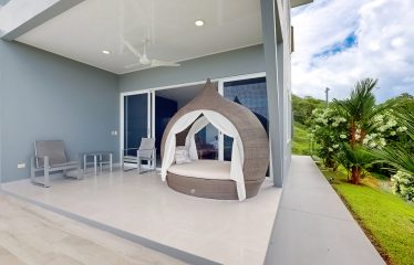 LUXURY HOME AND GUEST HOUSE WITH GYM – 1.24 ACRES