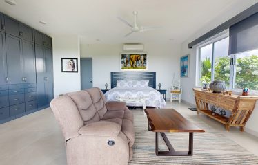 LUXURY HOME AND GUEST HOUSE WITH GYM – 1.24 ACRES