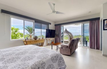 LUXURY HOME AND GUEST HOUSE WITH GYM – 1.24 ACRES