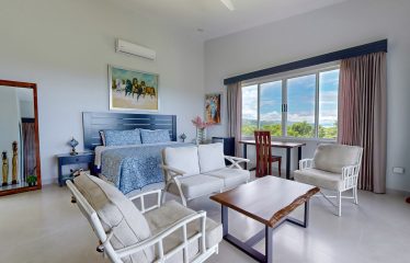 LUXURY HOME AND GUEST HOUSE WITH GYM – 1.24 ACRES