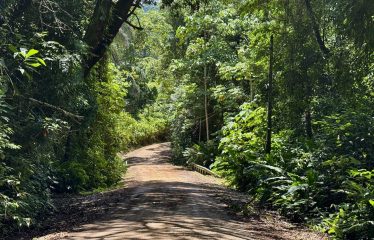 6 ACRES LOT WITH AMAZING OCEAN VIEWS IN DOMINICALITO