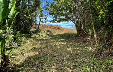 6 ACRES LOT WITH AMAZING OCEAN VIEWS IN DOMINICALITO