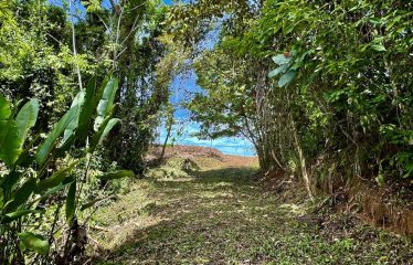 6 ACRES LOT WITH AMAZING OCEAN VIEWS IN DOMINICALITO