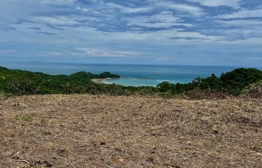 6 ACRES LOT WITH AMAZING OCEAN VIEWS IN DOMINICALITO