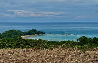 6 ACRES LOT WITH AMAZING OCEAN VIEWS IN DOMINICALITO