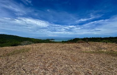 6 ACRES LOT WITH AMAZING OCEAN VIEWS IN DOMINICALITO