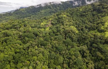 NEW BOUTIQUE HOTEL IN UVITA WITH 10 ACRES