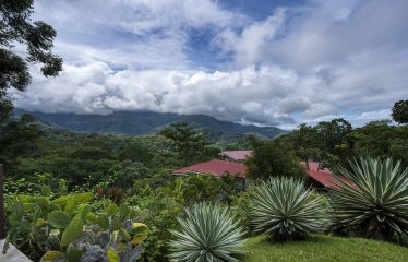 NEW BOUTIQUE HOTEL IN UVITA WITH 10 ACRES