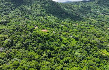 6 ACRES LOT WITH AMAZING OCEAN VIEWS IN DOMINICALITO