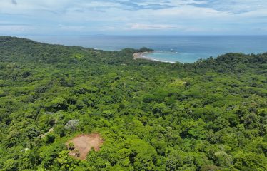 6 ACRES LOT WITH AMAZING OCEAN VIEWS IN DOMINICALITO