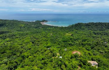 6 ACRES LOT WITH AMAZING OCEAN VIEWS IN DOMINICALITO