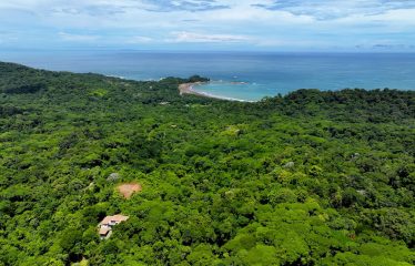 6 ACRES LOT WITH AMAZING OCEAN VIEWS IN DOMINICALITO