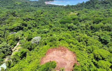 6 ACRES LOT WITH AMAZING OCEAN VIEWS IN DOMINICALITO