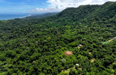 6 ACRES LOT WITH AMAZING OCEAN VIEWS IN DOMINICALITO