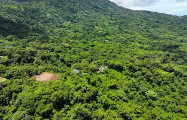 6 ACRES LOT WITH AMAZING OCEAN VIEWS IN DOMINICALITO