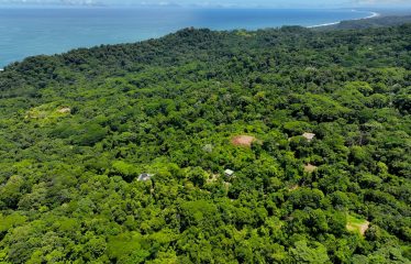 6 ACRES LOT WITH AMAZING OCEAN VIEWS IN DOMINICALITO