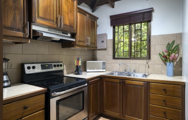 OCEAN VIEW HOUSE AND GUEST CASITA IN OJOCHAL – 11.44 ACRES