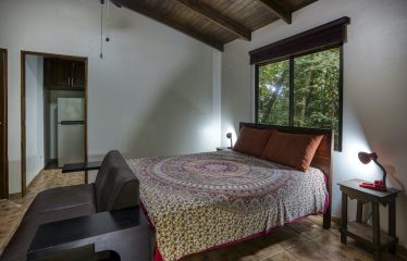 OCEAN VIEW HOUSE AND GUEST CASITA IN OJOCHAL – 11.44 ACRES