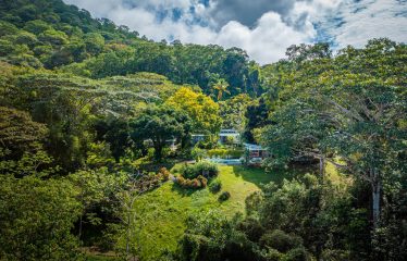 AMAZING PROPERTY WITH RESIDENCIAL OR COMMERCIAL OPPORTUNITIES