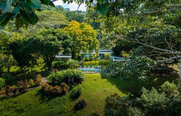 AMAZING PROPERTY WITH RESIDENCIAL OR COMMERCIAL OPPORTUNITIES