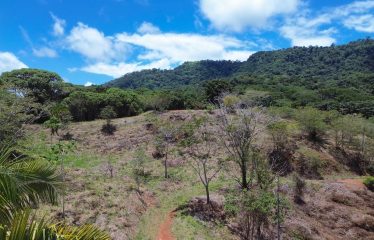 OCEAN AND MOUTAIN VIEW PROPERTY WITH RIVER AND CLOSE TO THE BEACH – 61.78 ACRES