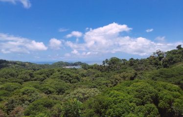 OCEAN AND MOUTAIN VIEW PROPERTY WITH RIVER AND CLOSE TO THE BEACH – 61.78 ACRES