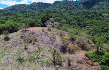 OCEAN AND MOUTAIN VIEW PROPERTY WITH RIVER AND CLOSE TO THE BEACH – 61.78 ACRES