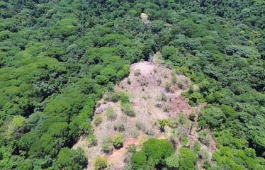 OCEAN AND MOUTAIN VIEW PROPERTY WITH RIVER AND CLOSE TO THE BEACH – 61.78 ACRES