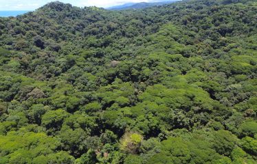 OCEAN AND MOUTAIN VIEW PROPERTY WITH RIVER AND CLOSE TO THE BEACH – 61.78 ACRES