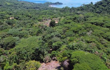 OCEAN AND MOUTAIN VIEW PROPERTY WITH RIVER AND CLOSE TO THE BEACH – 61.78 ACRES