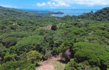 OCEAN AND MOUTAIN VIEW PROPERTY WITH RIVER AND CLOSE TO THE BEACH – 61.78 ACRES