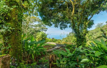 AMAZING PROPERTY WITH RESIDENCIAL OR COMMERCIAL OPPORTUNITIES