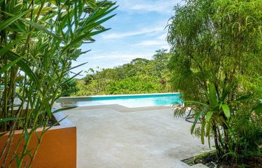 AMAZING PROPERTY WITH RESIDENCIAL OR COMMERCIAL OPPORTUNITIES