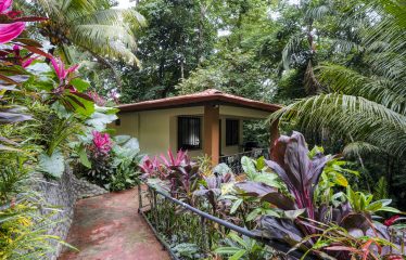 OCEAN VIEW HOUSE AND GUEST CASITA IN OJOCHAL – 11.44 ACRES