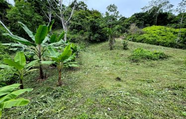 AMAZING LOT WITH FRUIT TREES, OCEAN AND MOUNTAIN VIEWS