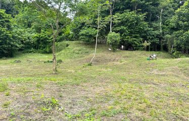 AMAZING LOT WITH FRUIT TREES, OCEAN AND MOUNTAIN VIEWS