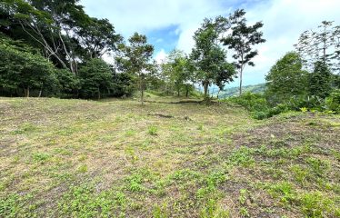 AMAZING LOT WITH FRUIT TREES, OCEAN AND MOUNTAIN VIEWS