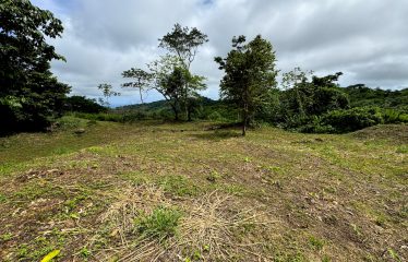 AMAZING LOT WITH FRUIT TREES, OCEAN AND MOUNTAIN VIEWS