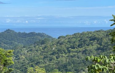 AMAZING LOT WITH FRUIT TREES, OCEAN AND MOUNTAIN VIEWS