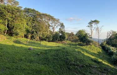 AMAZING LOT WITH FRUIT TREES, OCEAN AND MOUNTAIN VIEWS