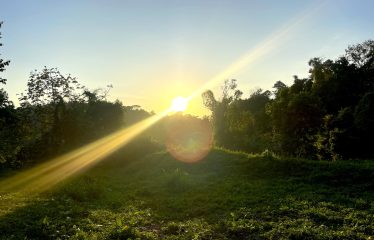 AMAZING LOT WITH FRUIT TREES, OCEAN AND MOUNTAIN VIEWS