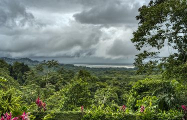 OCEAN VIEW HOUSE AND GUEST CASITA IN OJOCHAL – 11.44 ACRES