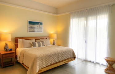 LUXURY 9 BEDROOM VILLA IN MANUEL ANTONIO