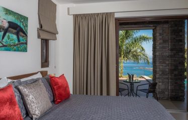 LUXURY OCEAN VIEW HOME IN MANUEL ANTONIO