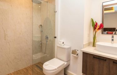 LUXURY OCEAN VIEW HOME IN MANUEL ANTONIO