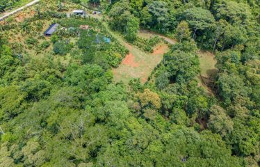 3.8 ACRES 2 BEDROOM HOME WITH WATERFALL ACCESS AND PRIVACY